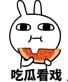 娱乐吃瓜酱相互体谅